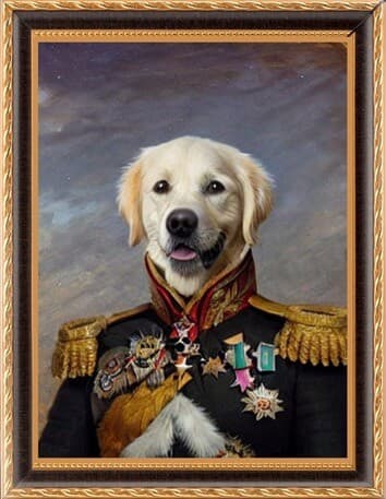 Mango sitting tall with a confident, calm gaze